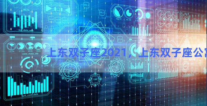 上东双子座2021，上东双子座公寓