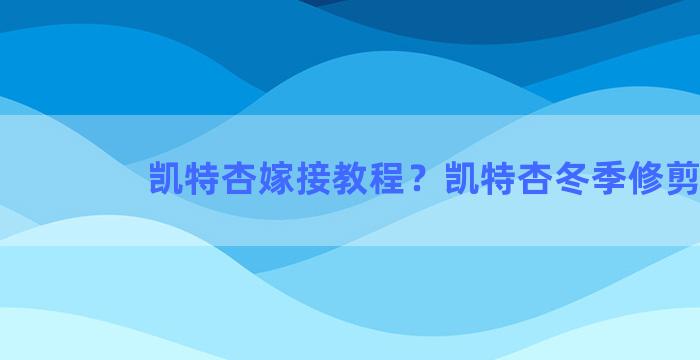 凯特杏嫁接教程？凯特杏冬季修剪