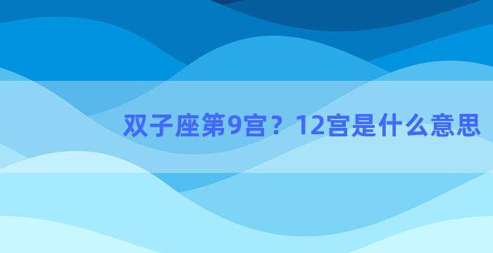 双子座第9宫？12宫是什么意思