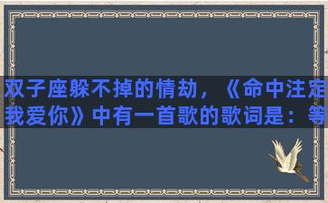 双子座躲不掉的情劫，《命中注定我爱你》中有一首歌的歌词是：等不到双子座，流星雨……请问这首歌叫什么名字