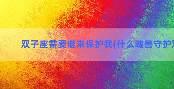 双子座需要谁来保护我(什么魂兽守护双子座)