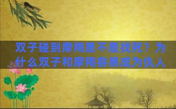 双子碰到摩羯是不是找死？为什么双子和摩羯容易成为仇人