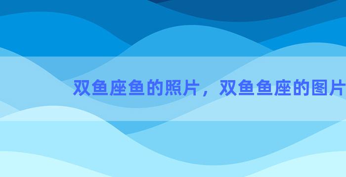 双鱼座鱼的照片，双鱼鱼座的图片