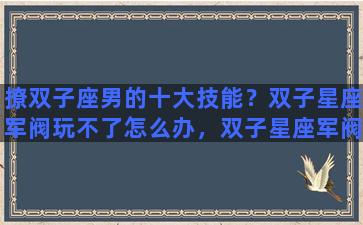 撩双子座男的十大技能？双子星座军阀玩不了怎么办，双子星座军阀进不去解决方法