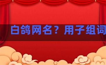 白鸽网名？用子组词，是