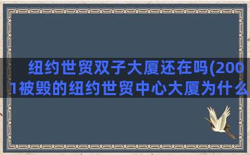 纽约世贸双子大厦还在吗(2001被毁的纽约世贸中心大厦为什么被称为“双子座”)