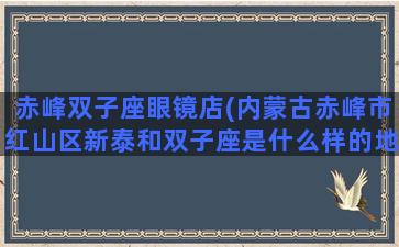 赤峰双子座眼镜店(内蒙古赤峰市红山区新泰和双子座是什么样的地方)