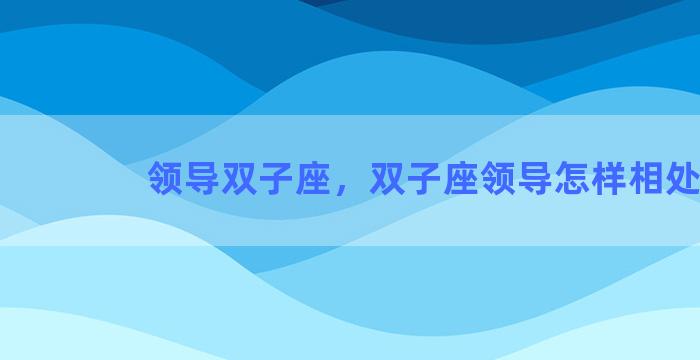 领导双子座，双子座领导怎样相处